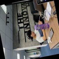 Dataset Image