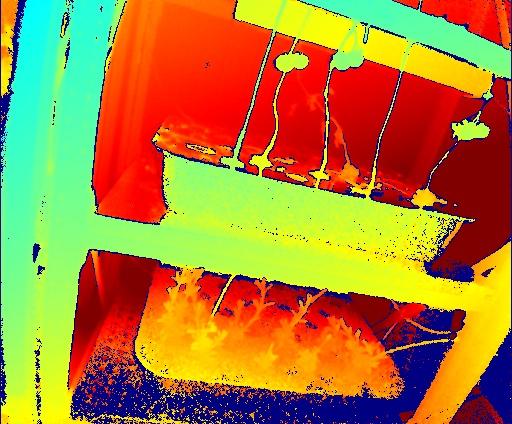 Dataset Image
