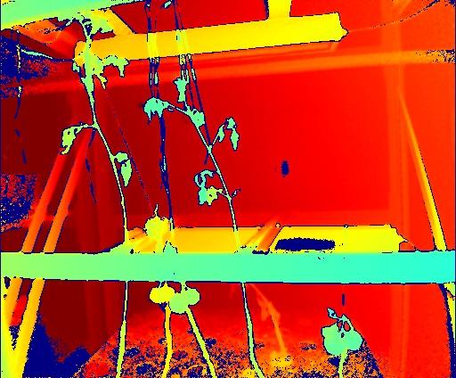 Dataset Image