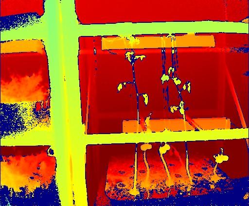 Dataset Image