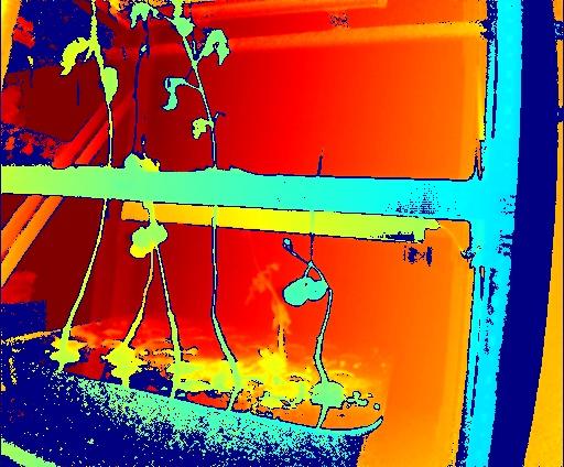 Dataset Image