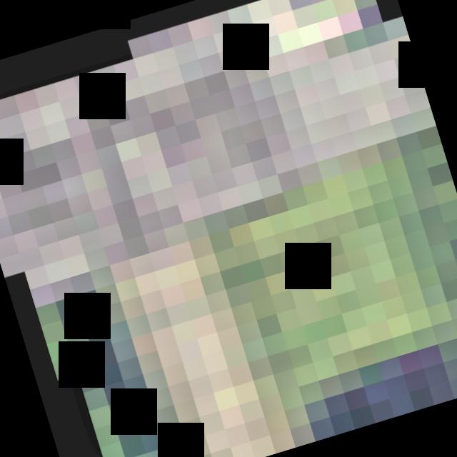 Dataset Image