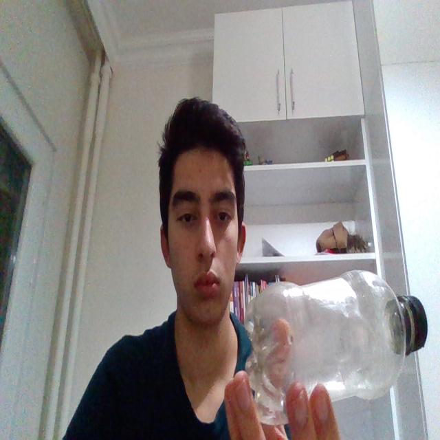 Dataset Image