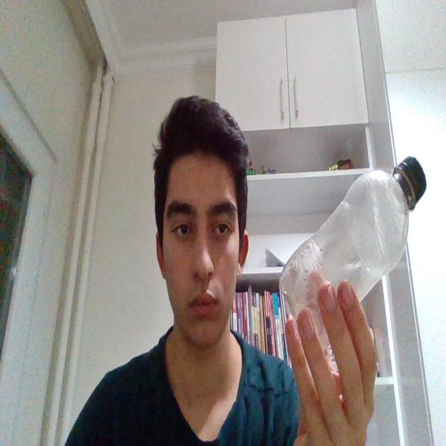 Dataset Image