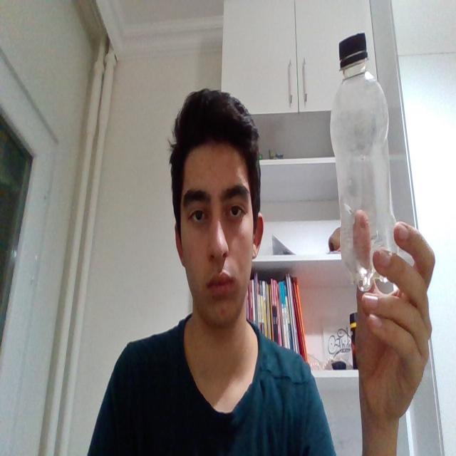 Dataset Image