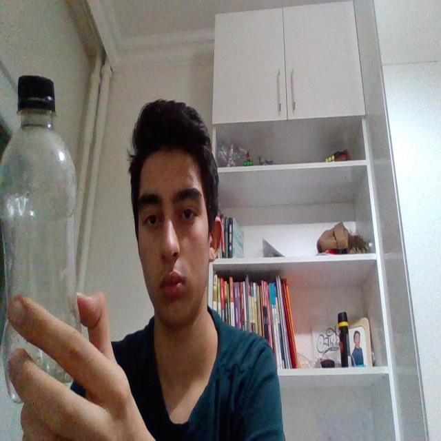Dataset Image