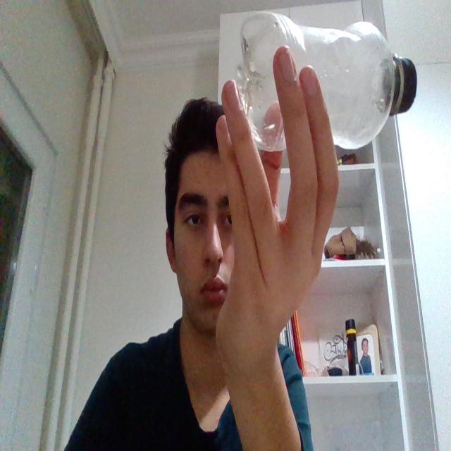 Dataset Image