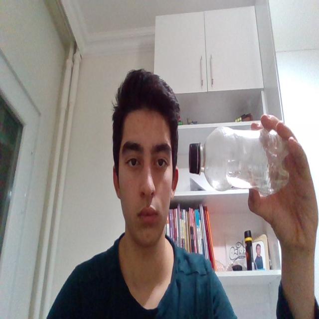 Dataset Image