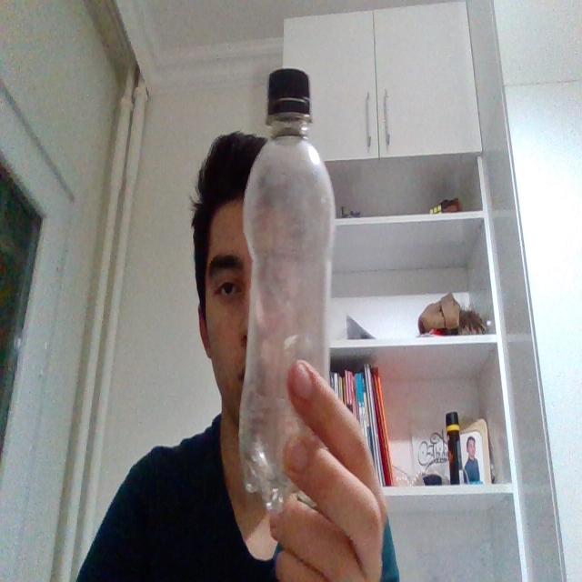 Dataset Image