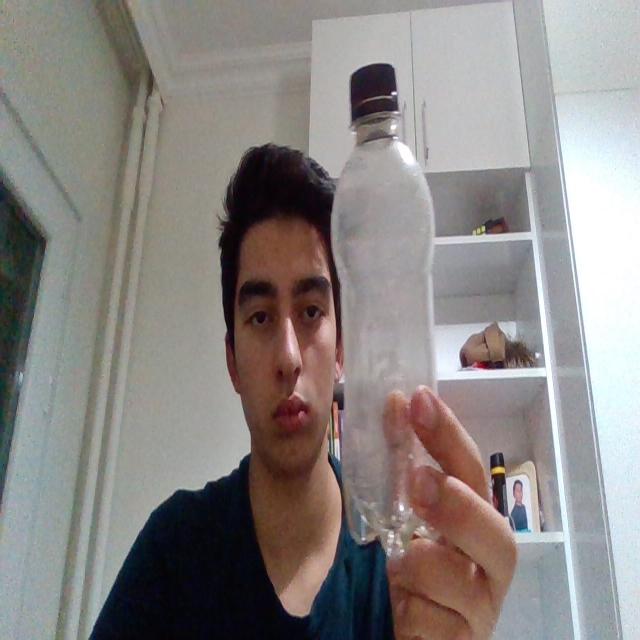 Dataset Image