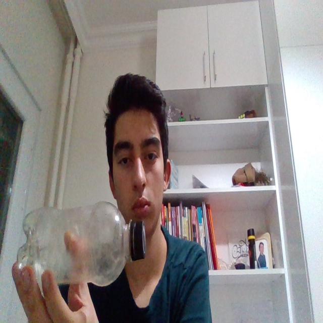 Dataset Image