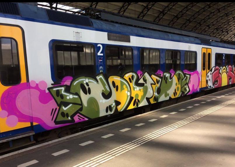 Dataset Image