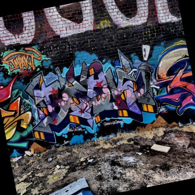 Dataset Image