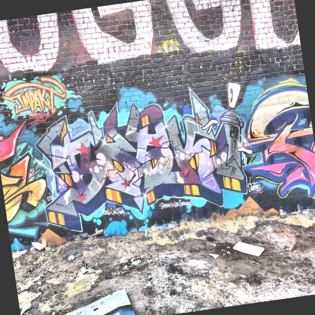 Dataset Image