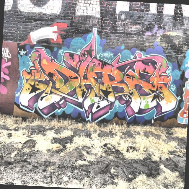 Dataset Image