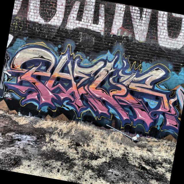 Dataset Image