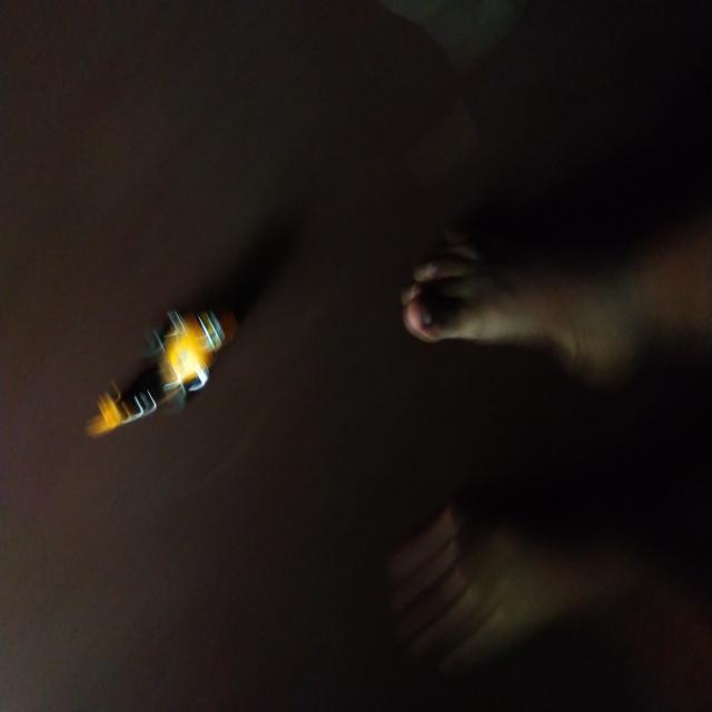 Dataset Image