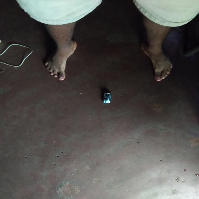 Dataset Image