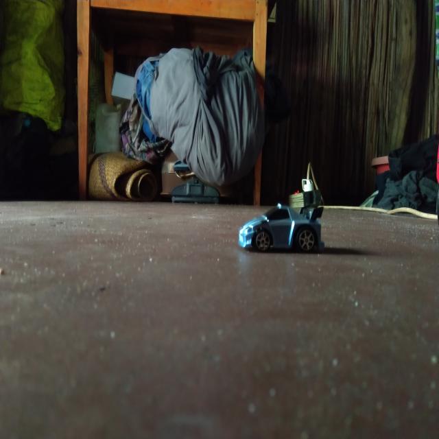 Dataset Image