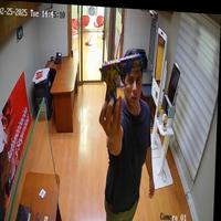 Dataset Image