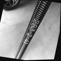 Dataset Image