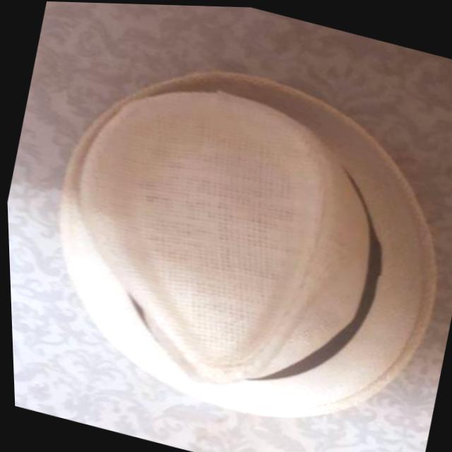 Dataset Image