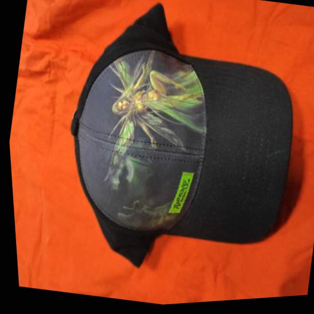Dataset Image