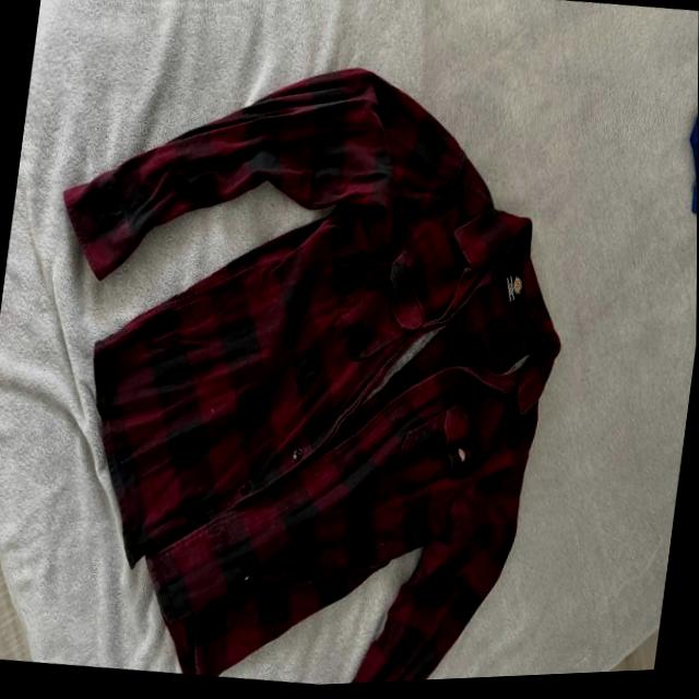 Dataset Image