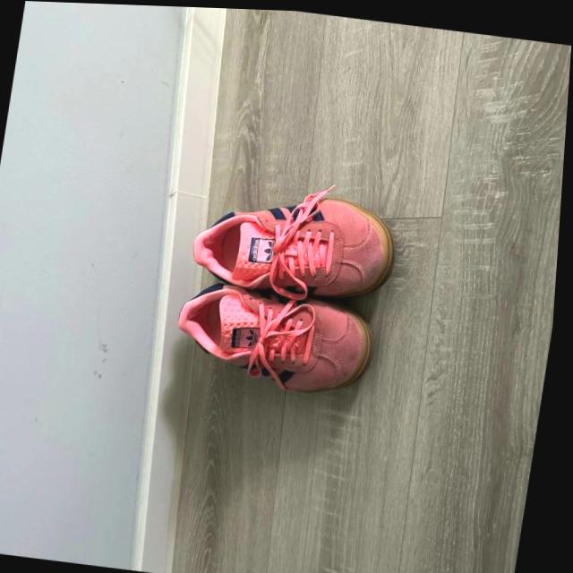 Dataset Image