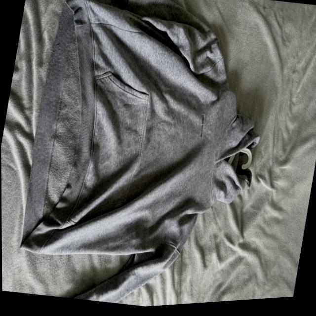 Dataset Image