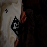 Dataset Image