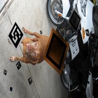 Dataset Image
