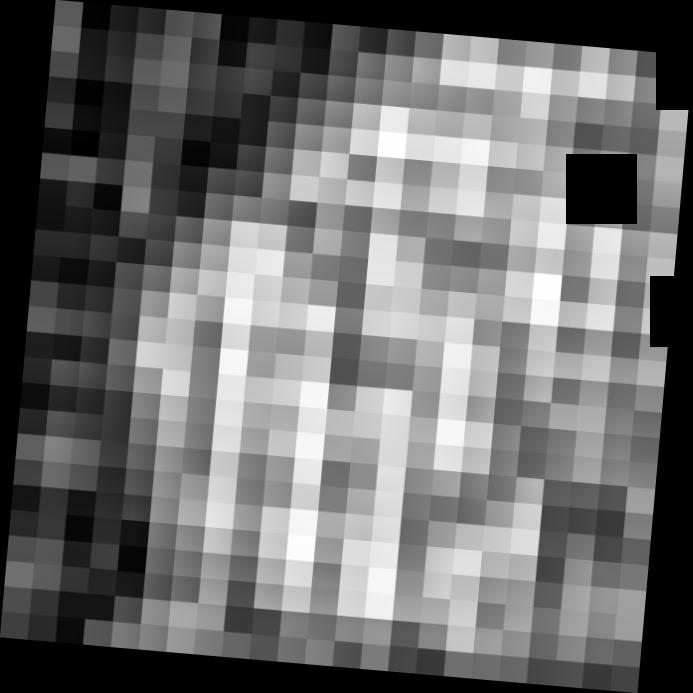 Dataset Image