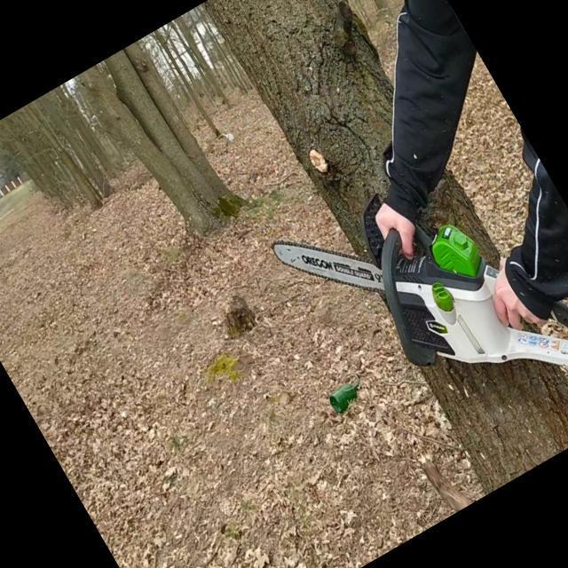 Dataset Image