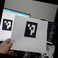 Dataset Image