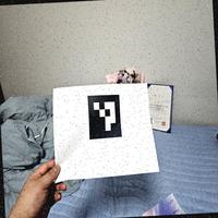 Dataset Image
