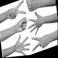 Dataset Image