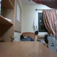 Dataset Image
