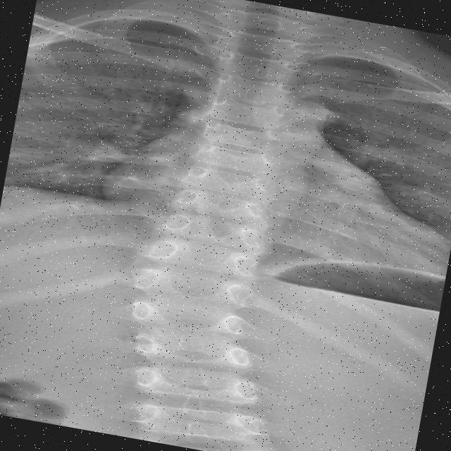 Dataset Image