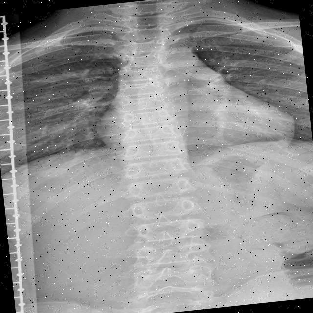 Dataset Image