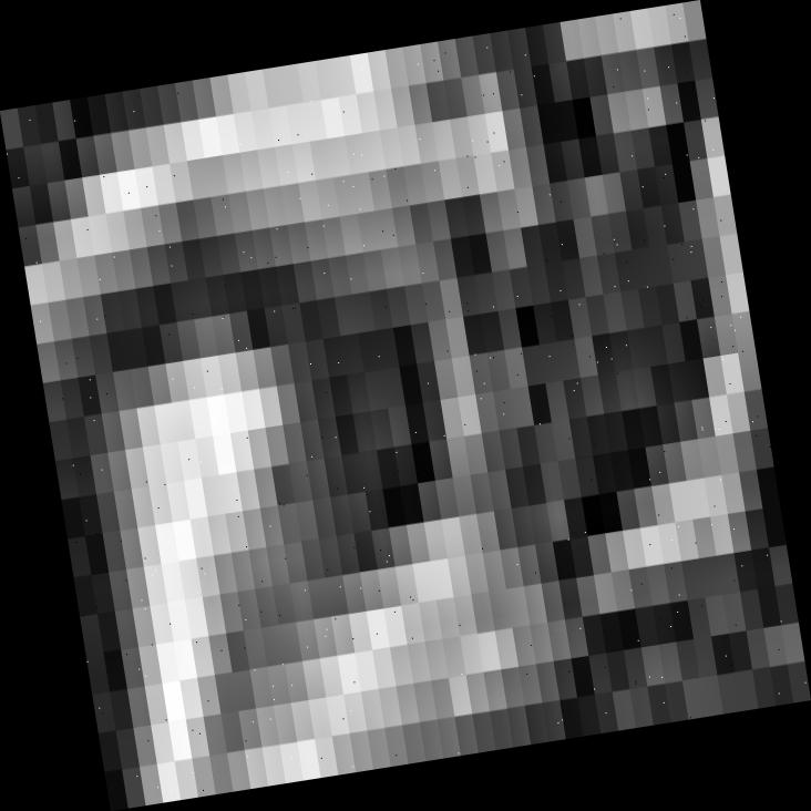 Dataset Image