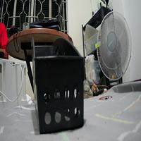 Dataset Image