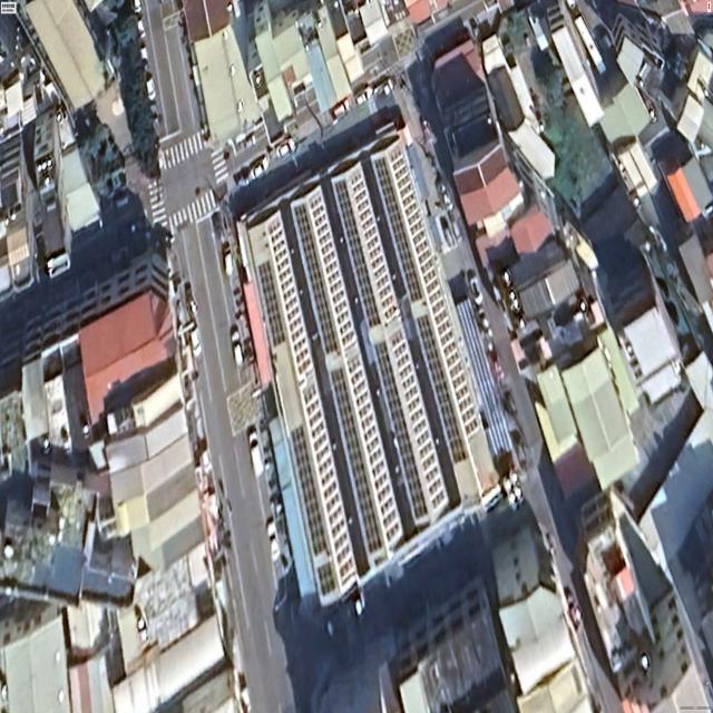 Dataset Image