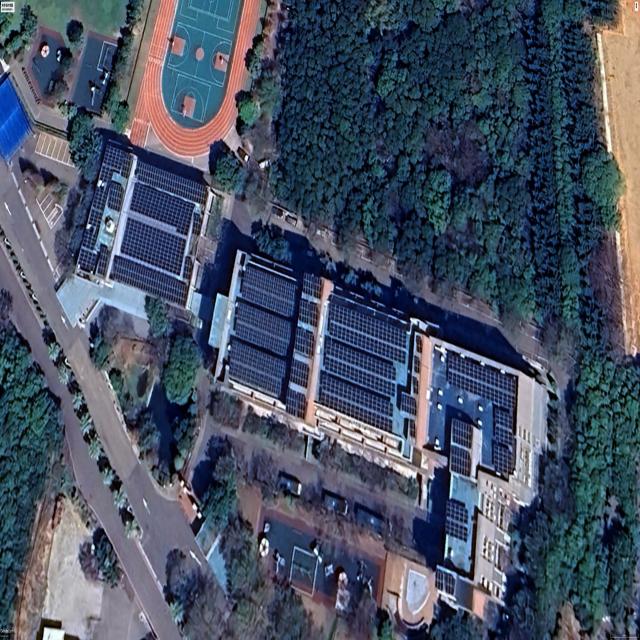 Dataset Image