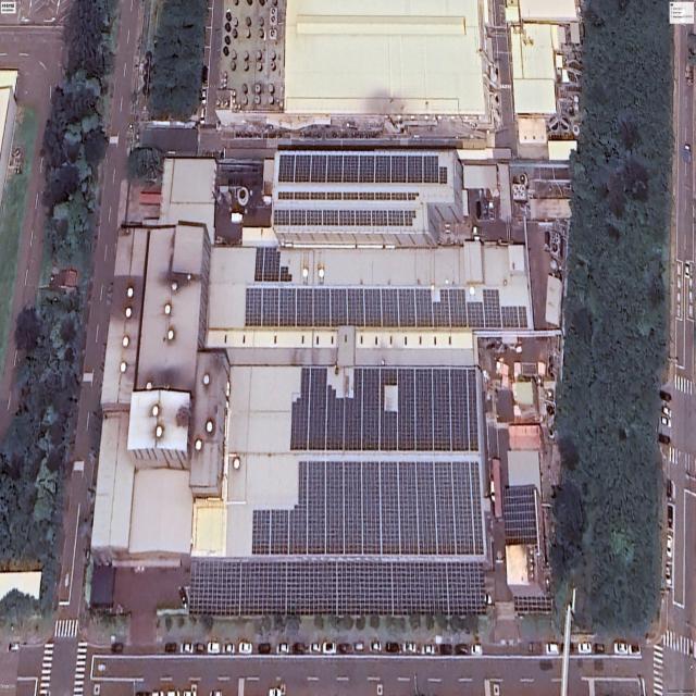 Dataset Image
