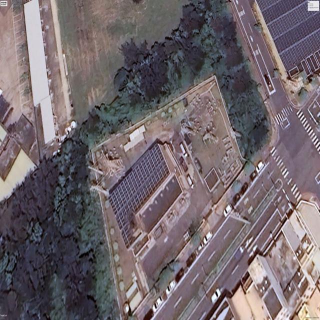 Dataset Image