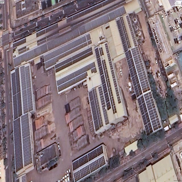 Dataset Image