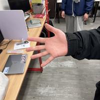 Dataset Image