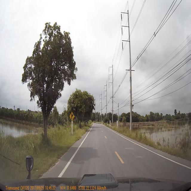 Dataset Image