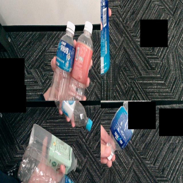 Dataset Image